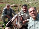 کشف و ضبط یک قبضه اسلحه شکاری در منطقه ییلاقی شهرستان شاهین دژ