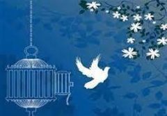 ثبت چهارمین سازش پرونده قتل عمد آذربایجان‌غربی در تکاب