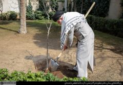 نهضت ملی درختکاری جدی گرفته شود و ادامه یابد