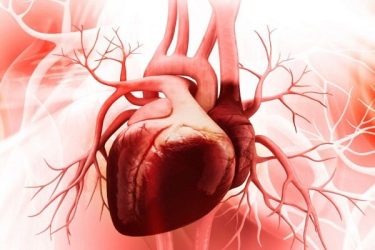 جراحی قلب زنده در کنگره قلب و عروق ایران