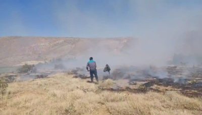 آتش سوزی گسترده در گندمزار‌ها و مراتع روستای یار عزیز تکاب