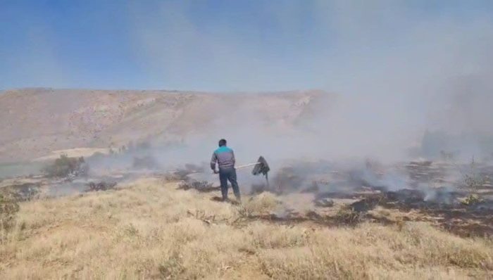 آتش سوزی گسترده در گندمزارها و مراتع روستای یار عزیز تکاب آتش سوزی گسترده در گندمزارها و مراتع روستای یار عزیز تکاب