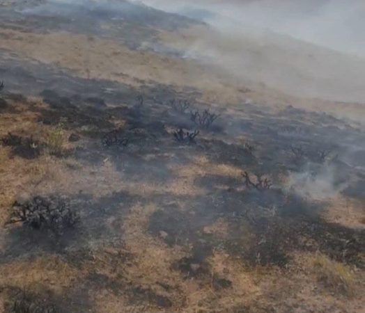 ۸ هکتار از مراتع روستای قینرجه تکاب طعمه حریق شد