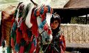 «تصمیم کبری» در شبکه امید